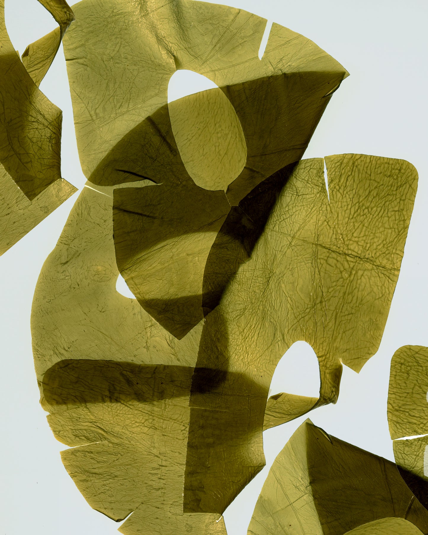 Kelp! Seaweed Sheet Mask