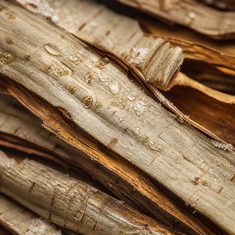 Salicylic Acid (Naturally Derived from Willow Bark)