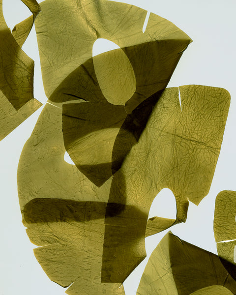 Kelp! Seaweed Sheet Mask